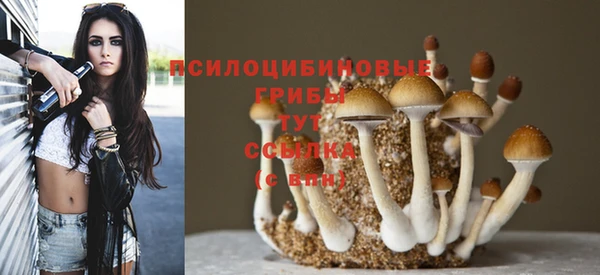 прущие крисы Бугульма