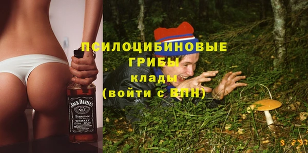 прущая мука Бородино