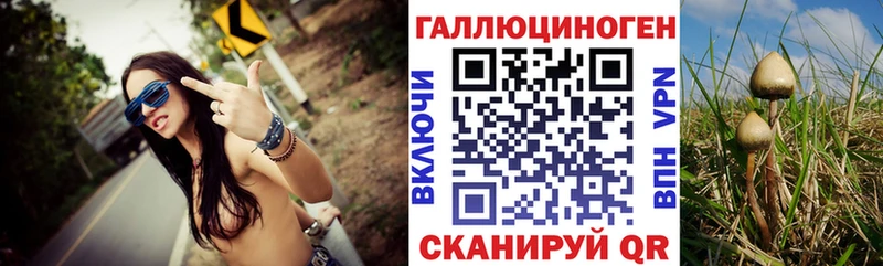 Галлюциногенные грибы мицелий  Гусиноозёрск 